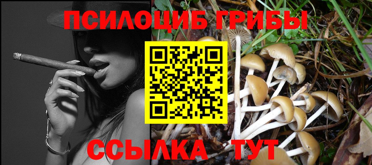 Псилоцибиновые грибы GOLDEN TEACHER Сланцы