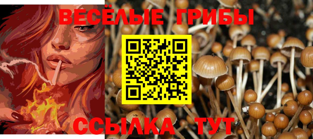 Галлюциногенные грибы Cubensis  Вход с VPN  Псилоцибиновые грибы MAGIC MUSHROOMS  Сланцы 